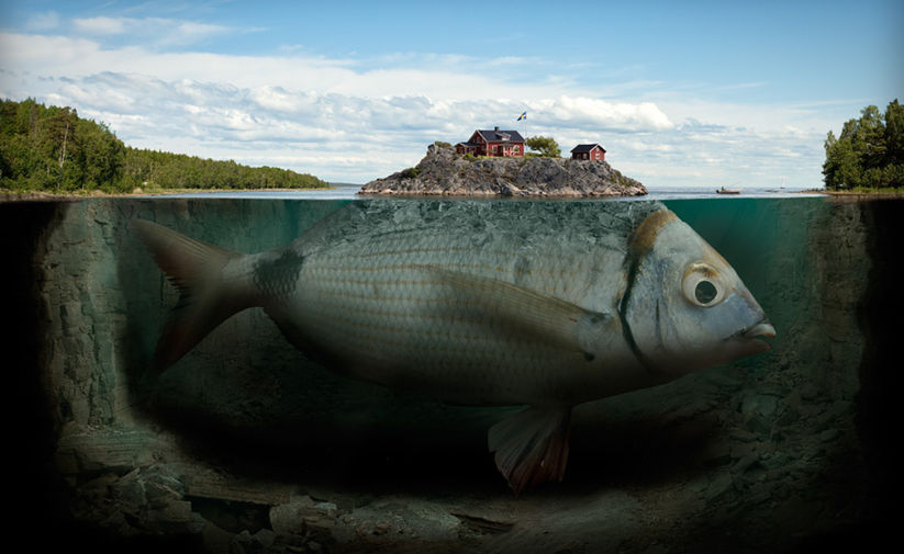 Nieuwsbericht 11 met een langere titel die waarschijnlijk niet op 1 lijn past